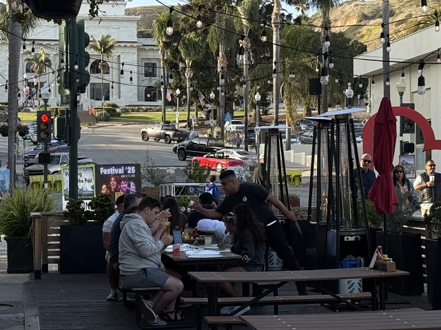 8CCD61F2-0847-49D7-B16B-9B3D5D37E81D 1 105 C